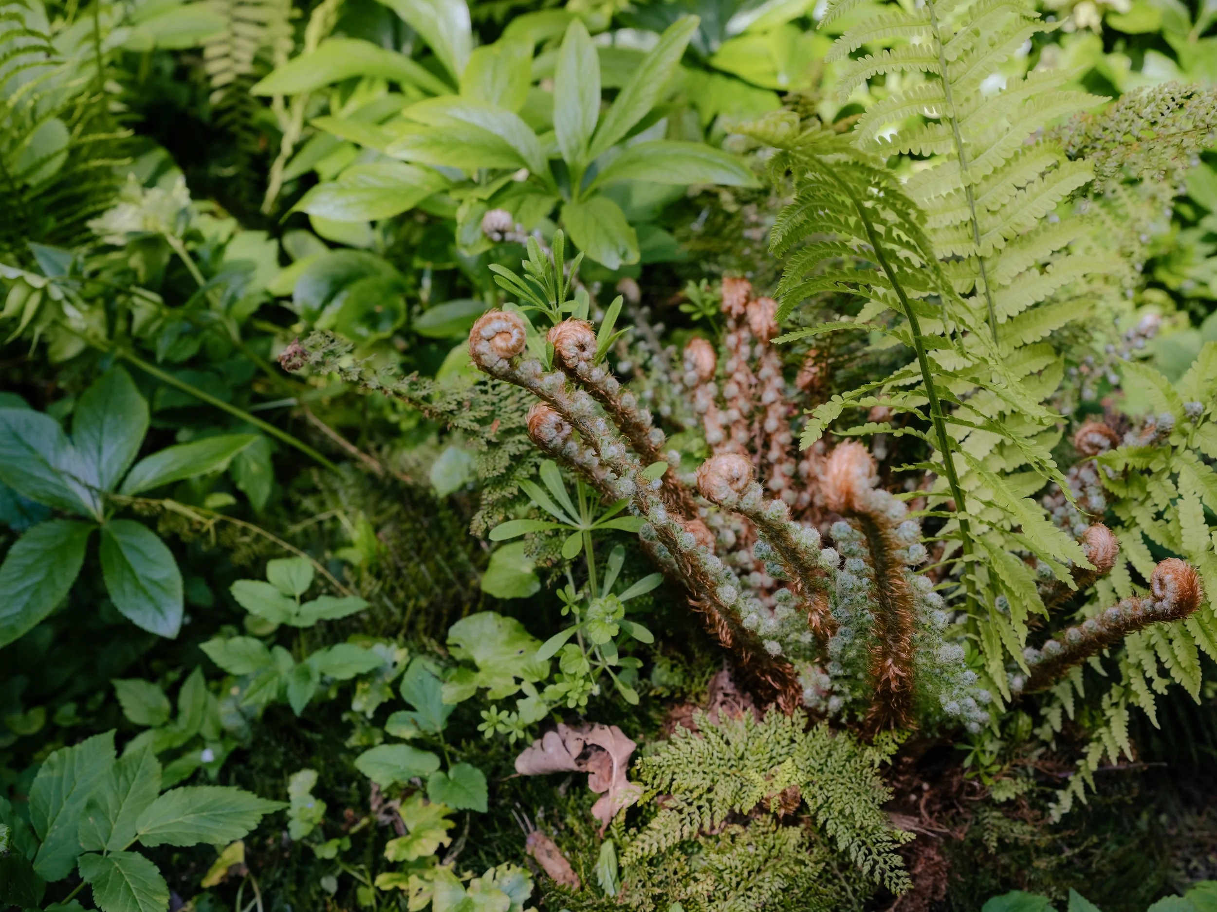 DSCF8909.jpg