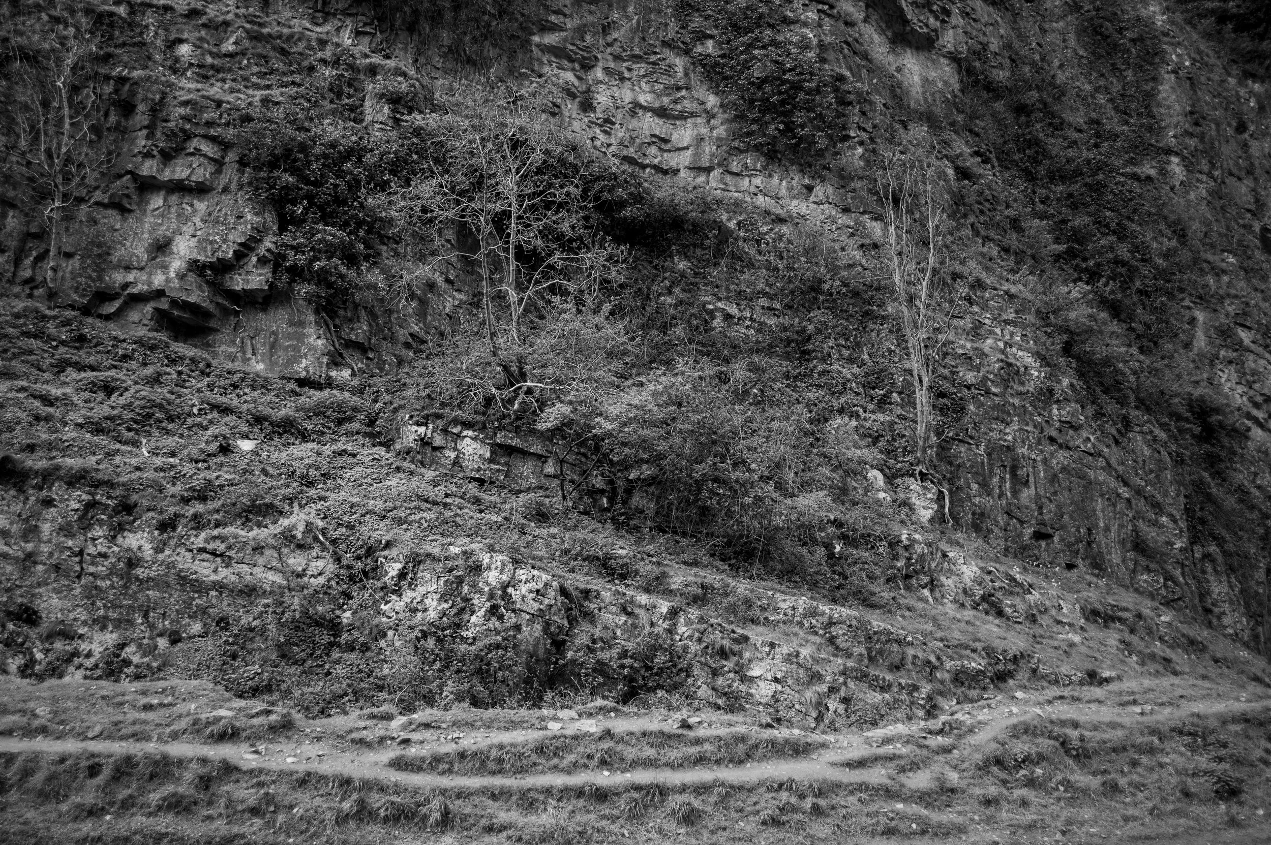 _DSC0308.jpg
