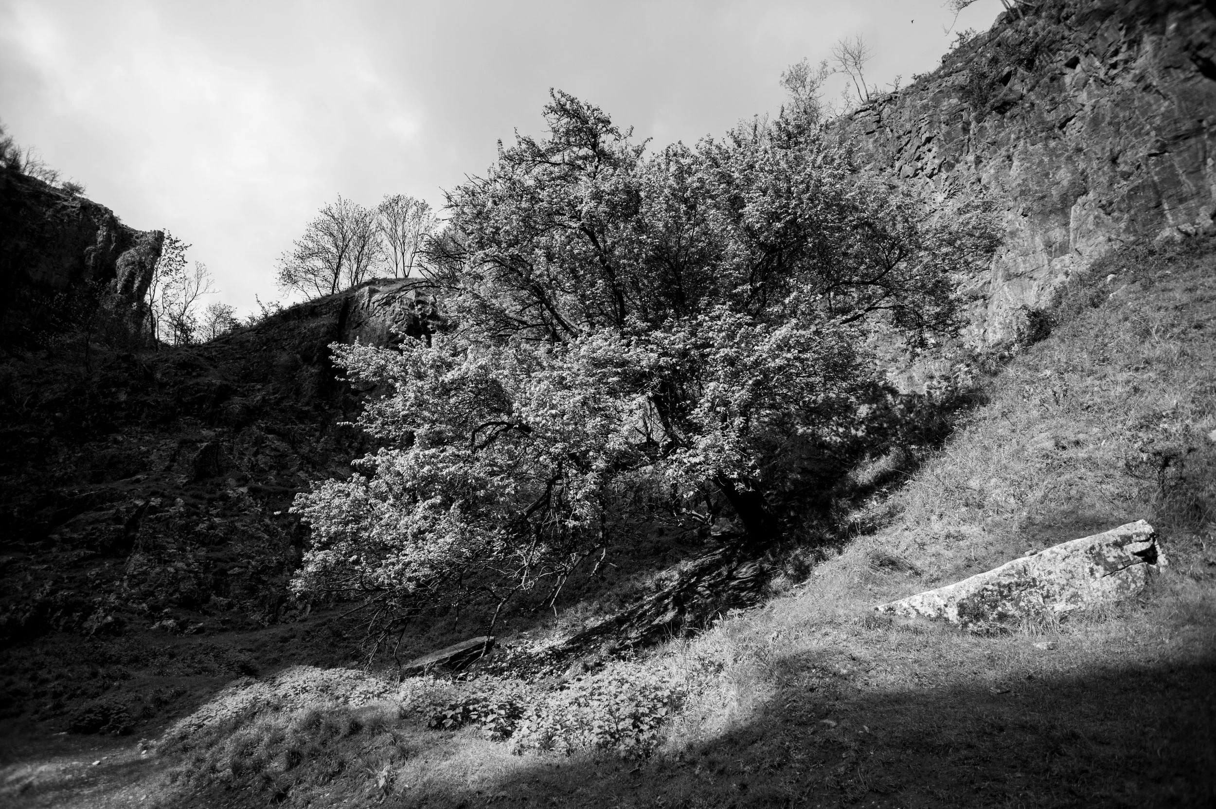 _DSC0428.jpg