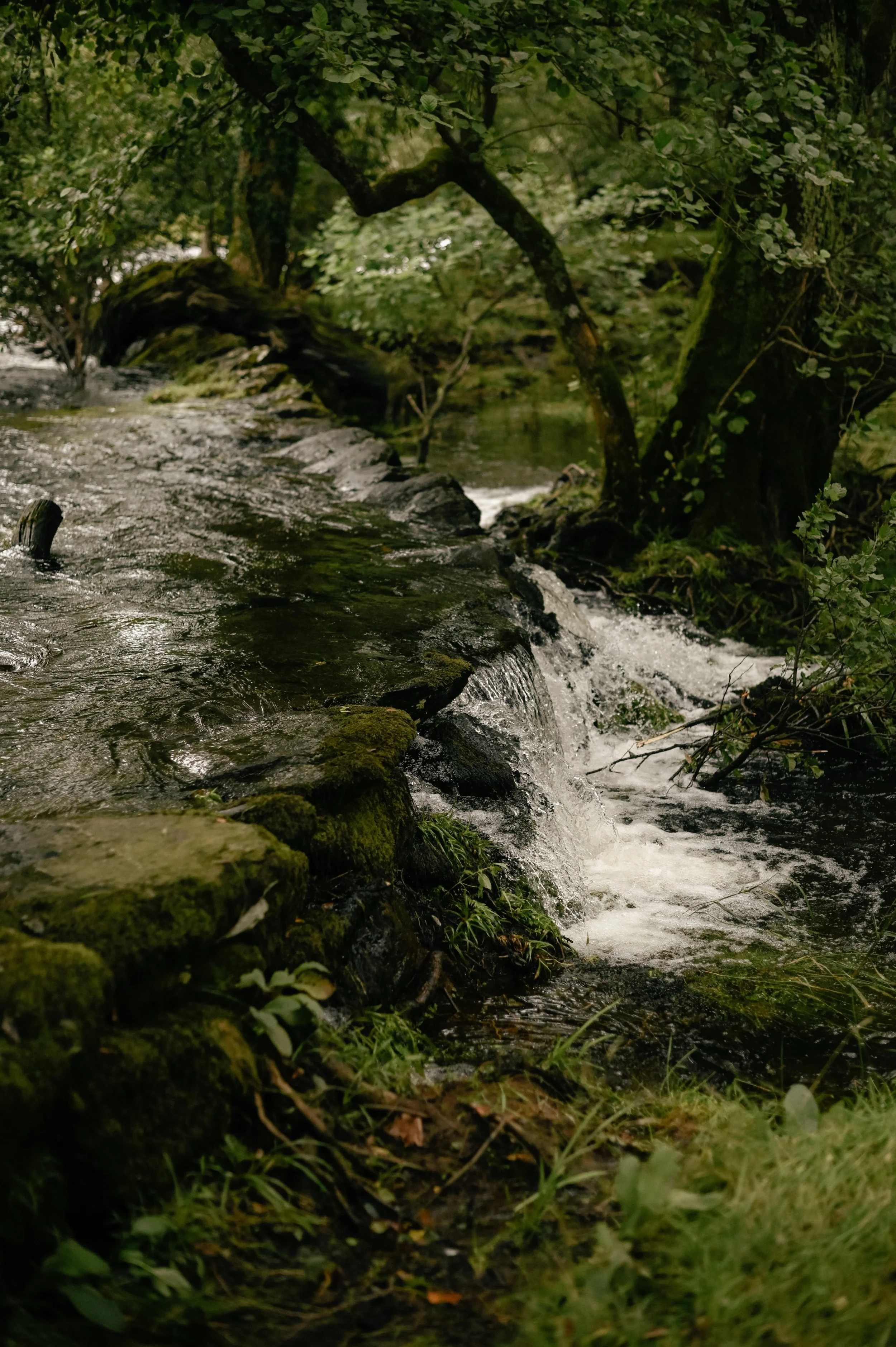 _DSC4668.jpg
