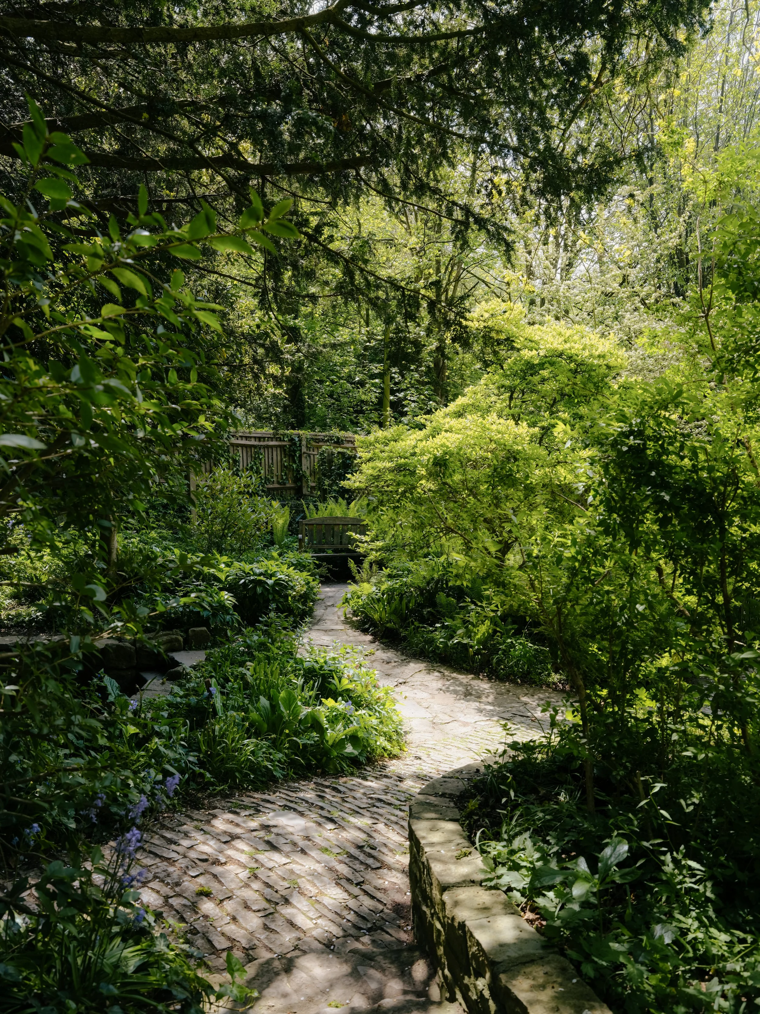 DSCF8917.jpg