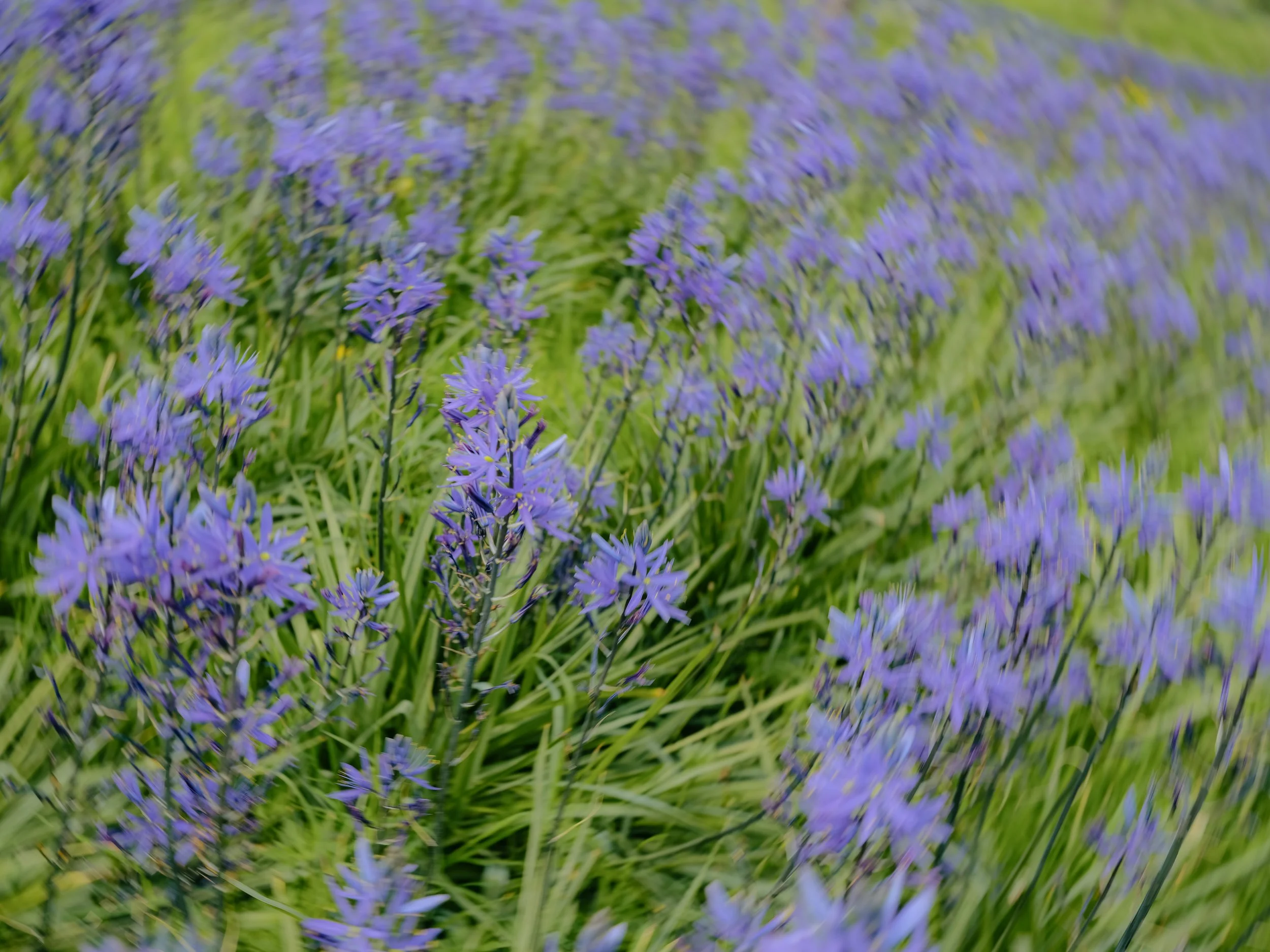 DSCF9436.jpg