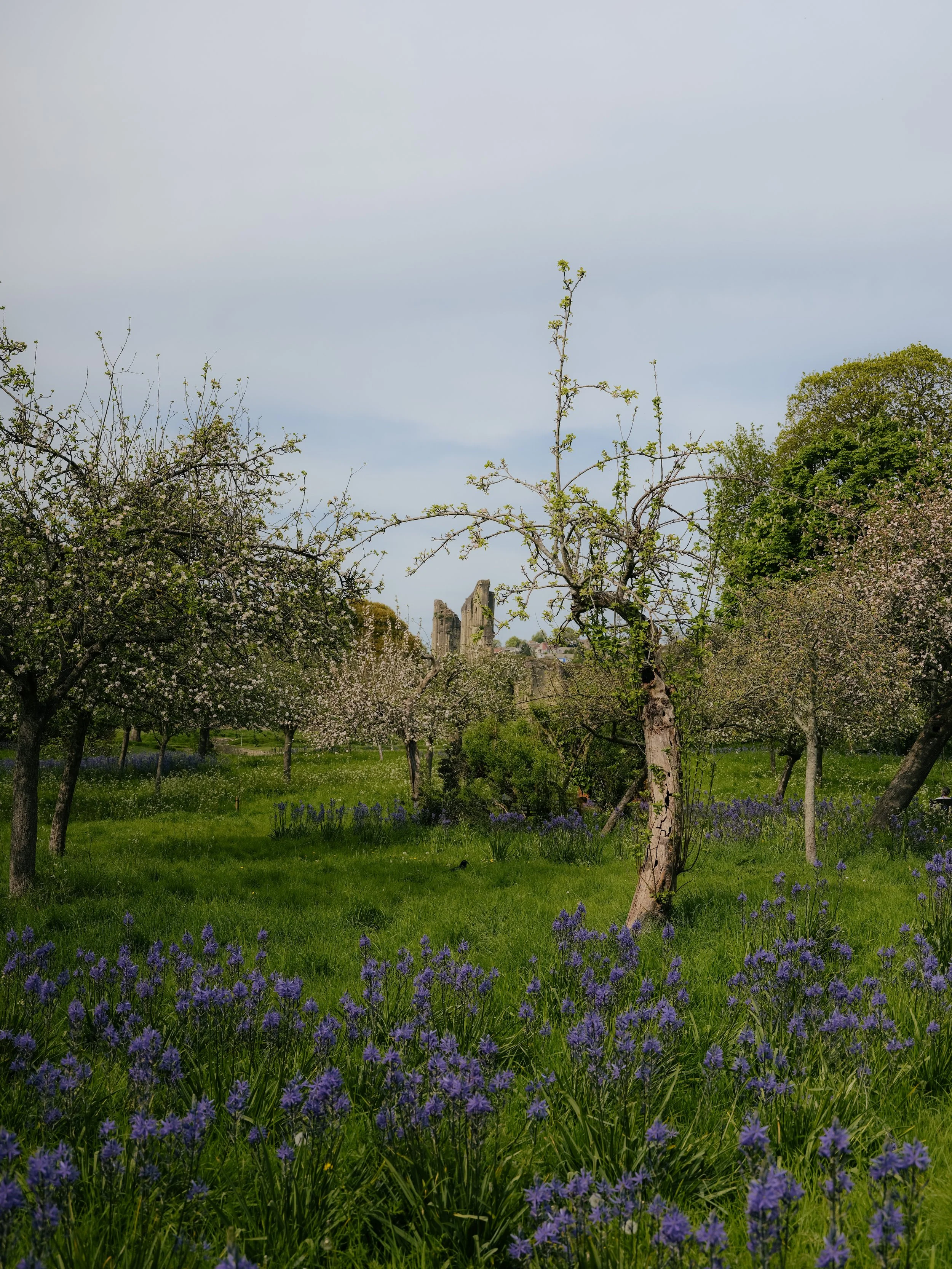 DSCF9451.jpg