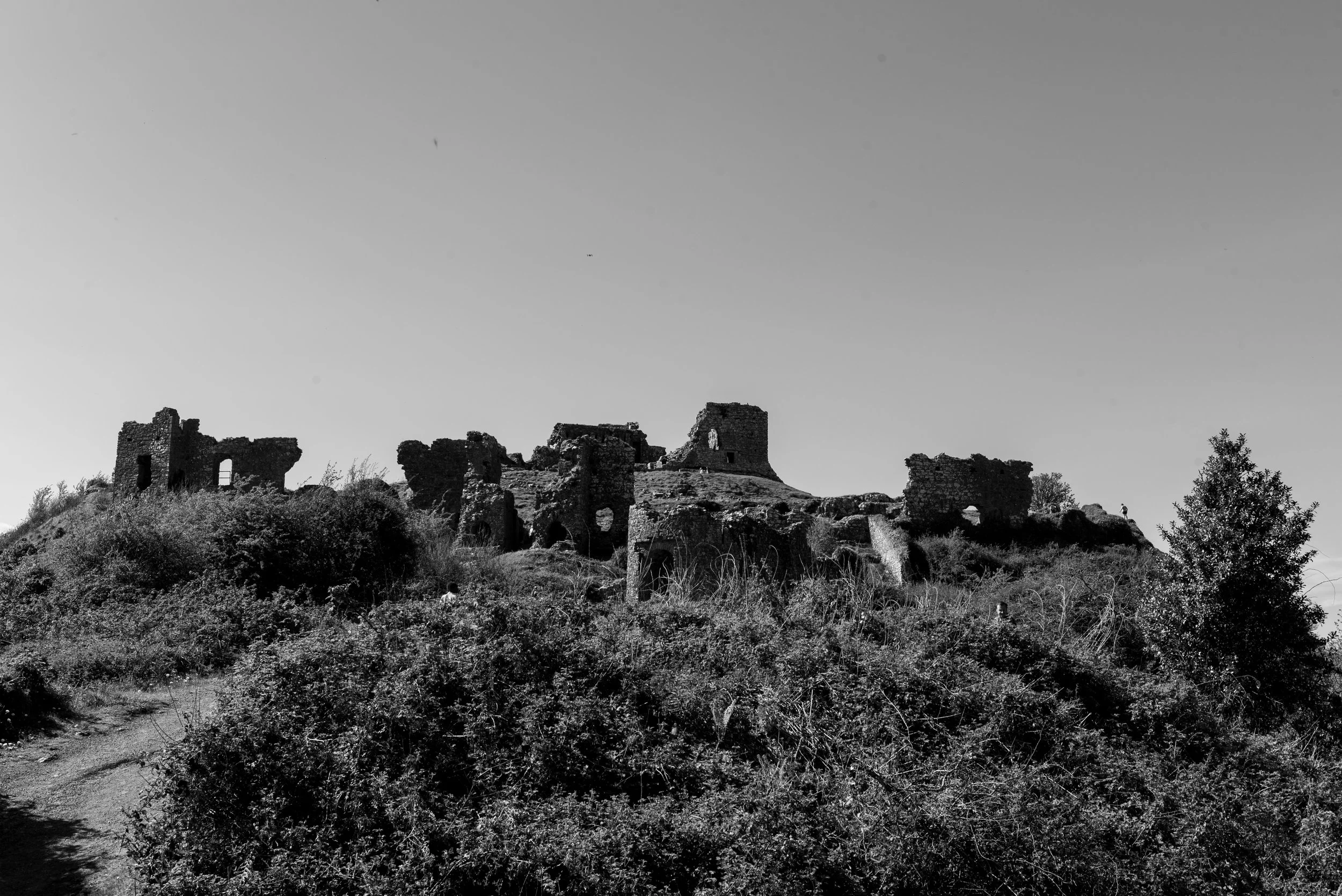 _DSC7587.jpg