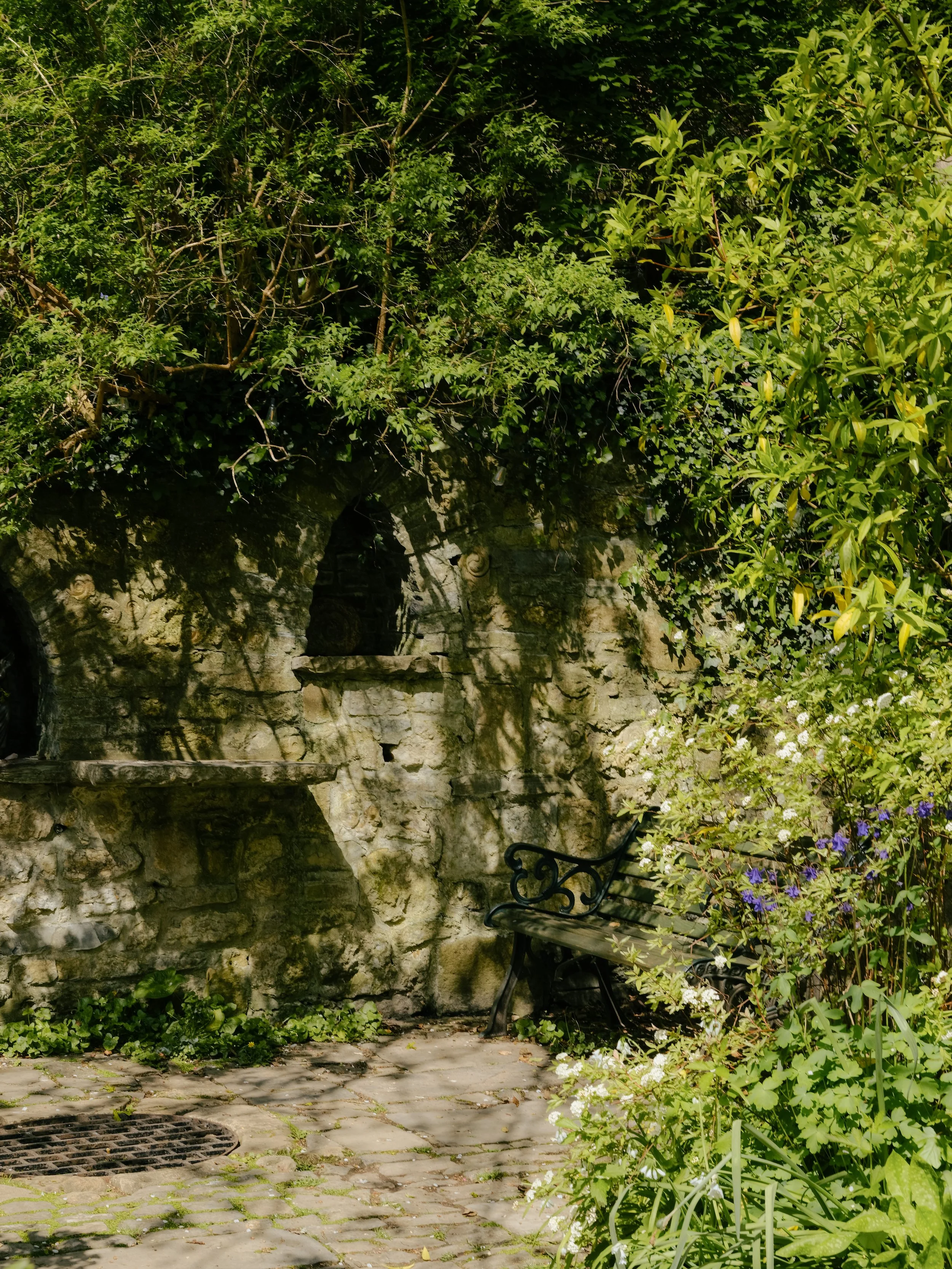 DSCF8929.jpg