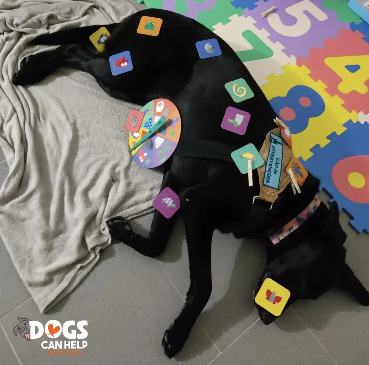 Clube das Histórias