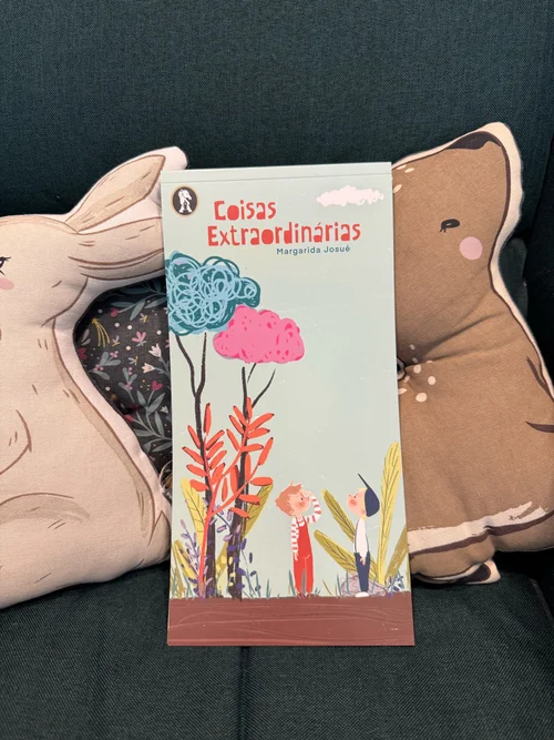 Capa do livro Coisas extraordinárias