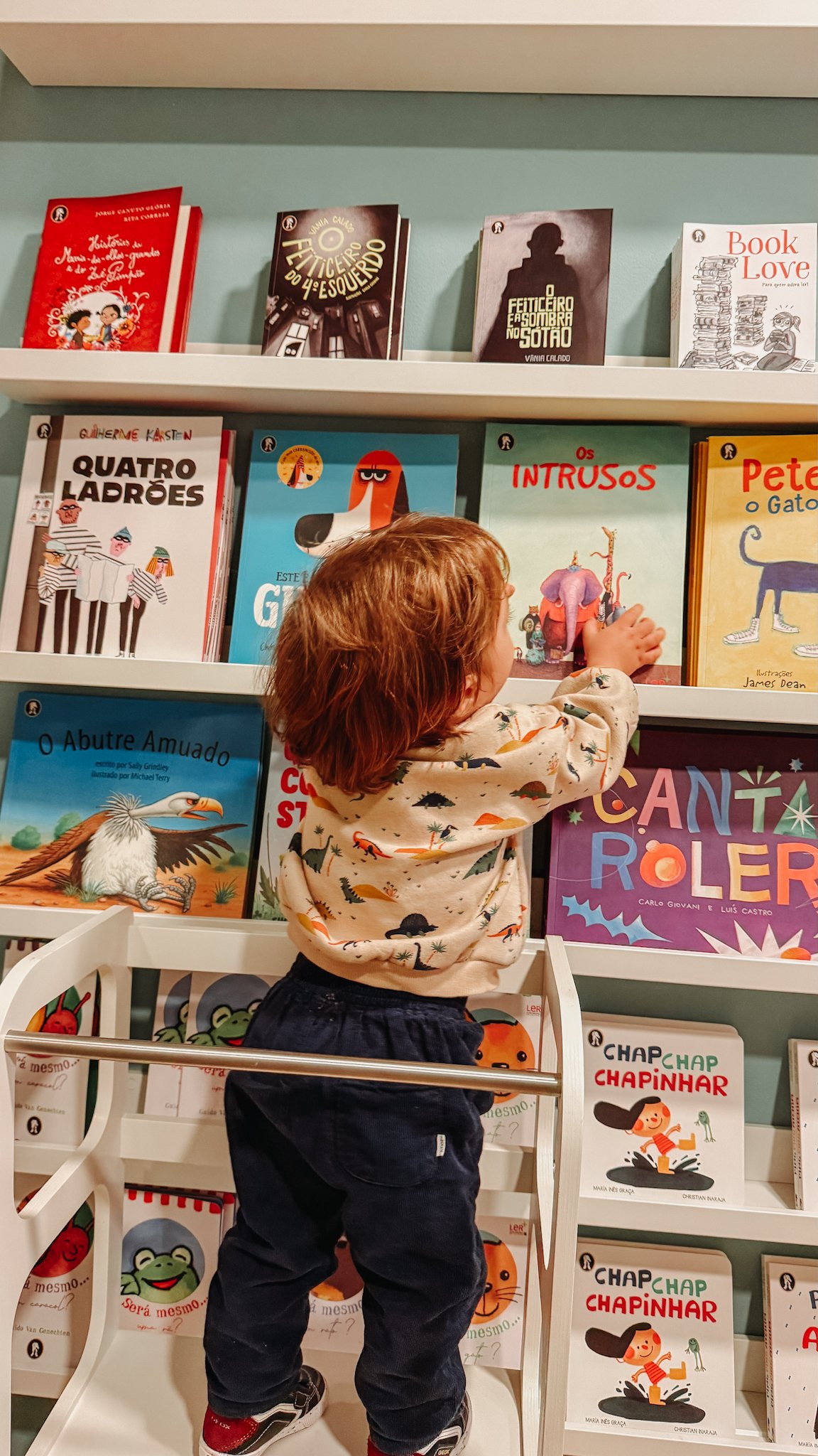 Criança com cabelo castanho claro, vestindo blusa de manga longa com estampa de dinossauros e calça escura, pegando um livro na prateleira de livros infantis em uma livraria.