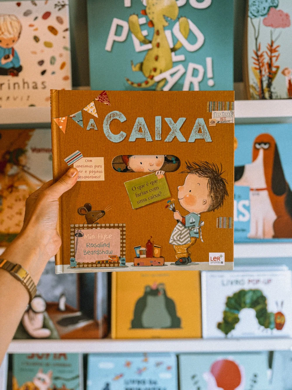 Capa do livro A Caixa
