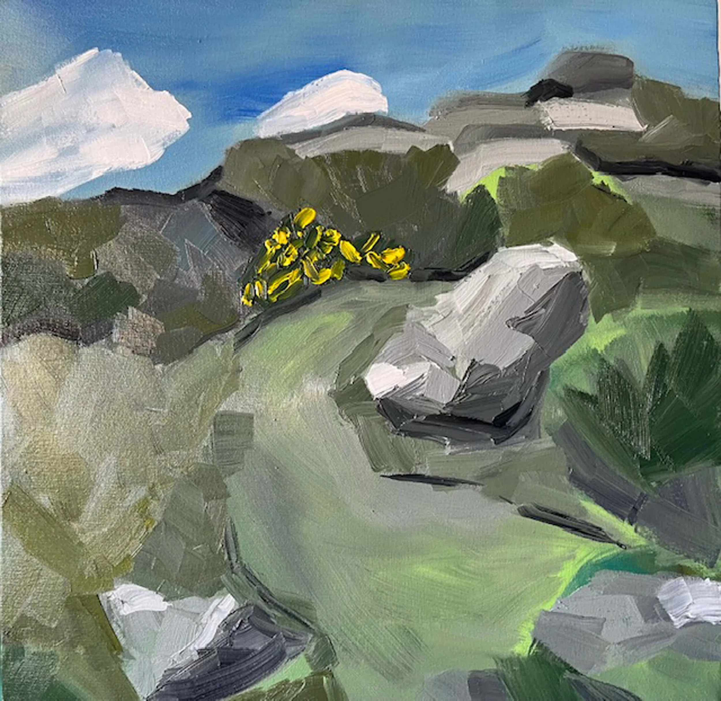 The path to the beach, oil on canvas, 50 x 50 cm