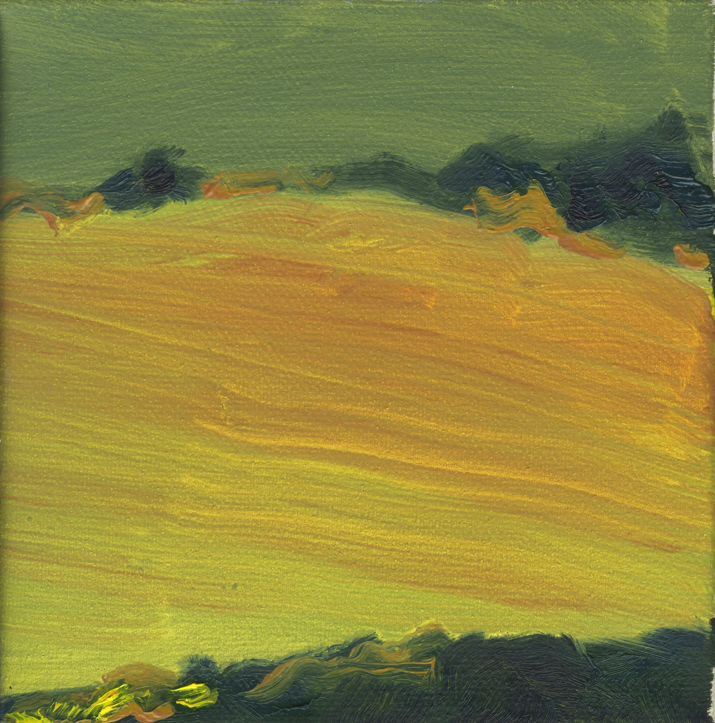 South Downs nr. Steyning 3, oil on canvas, in white wooden shadow frame, 30 x 30 cm