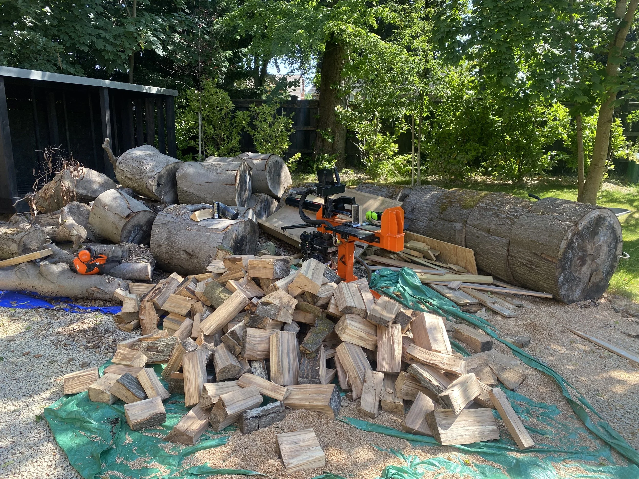 Cut logs and firewood stacked and arranged outdoors with chainsaw and tools.