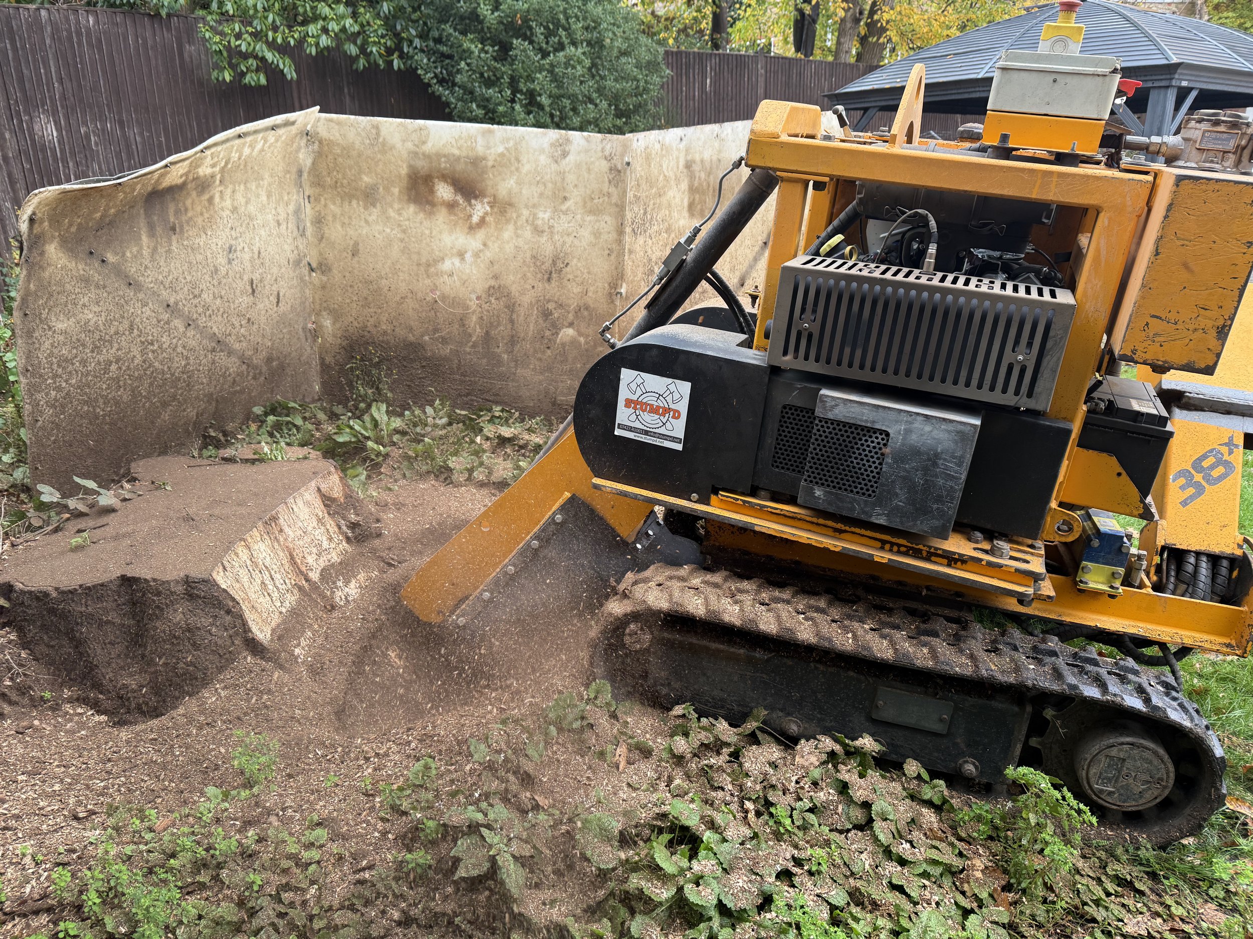 A yellow mini excavator with a black cabin removing a large tree stump from the ground, with dirt and small plants around.