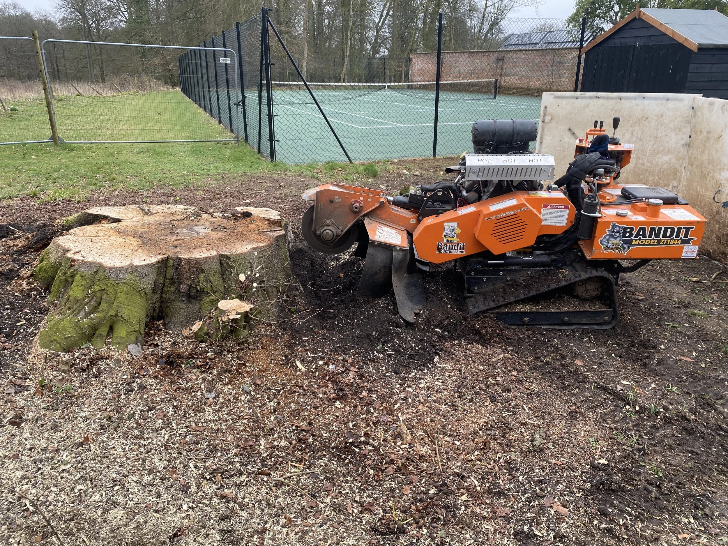 A stump being cut by an orange track machine near a tennis court surrounded by a black fence, with trees and a small shed in the background.