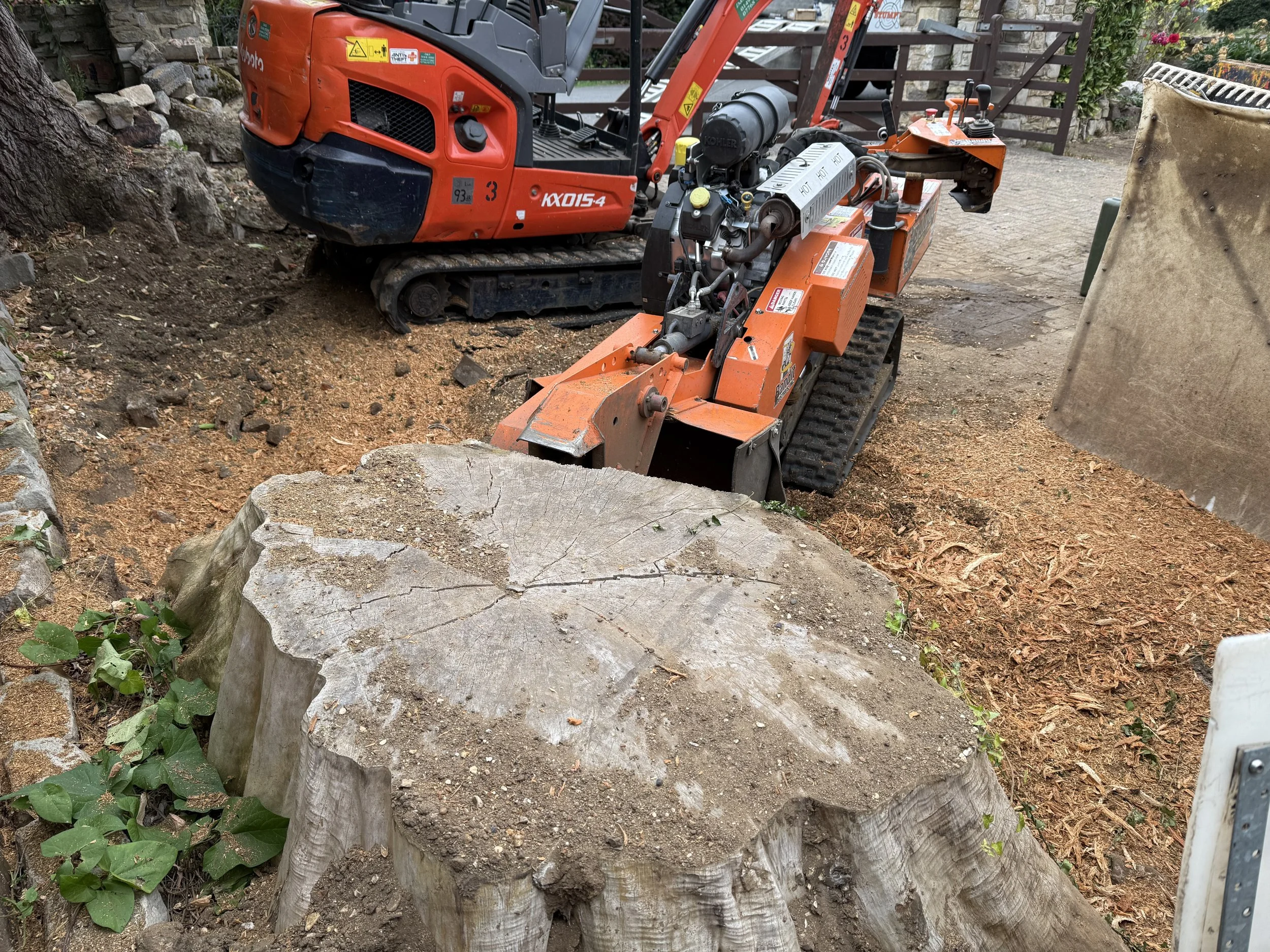 A mini excavator and a wood stump with visible cracks, surrounded by dirt and small green plants, in a garden setting.