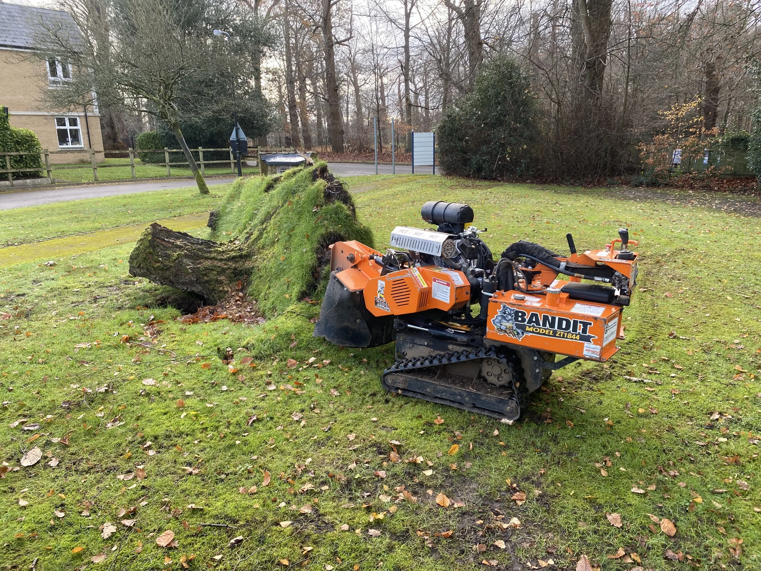 A robotic tree stump grinder cutting a moss-covered fallen tree in a grassy yard during daytime.