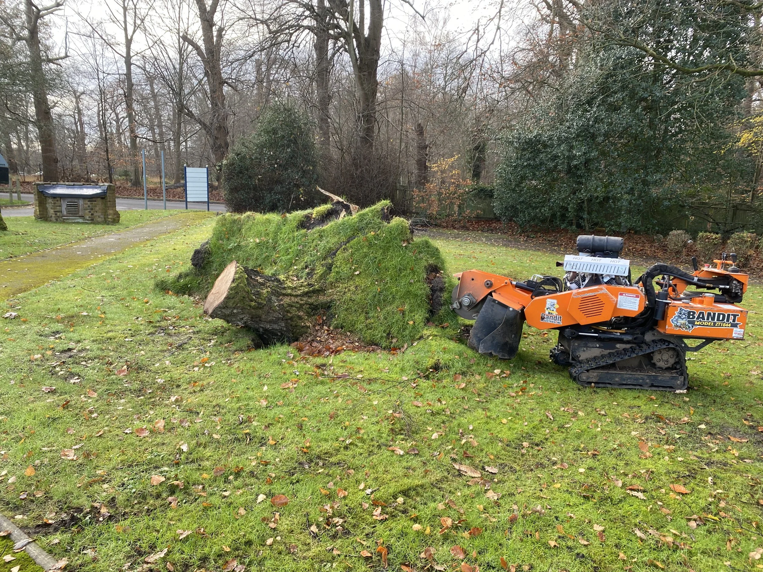 A small orange track-driven wood cutter with a black blade is cutting a large fallen moss-covered tree into smaller pieces in a grassy yard.