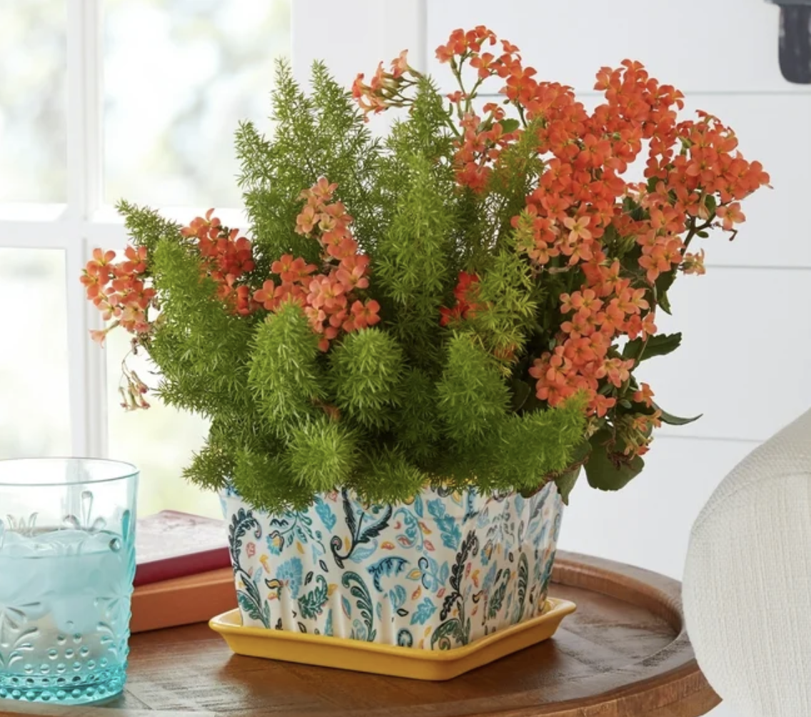 Screenshot 2025-01-13 at 8.45.51 PM.png