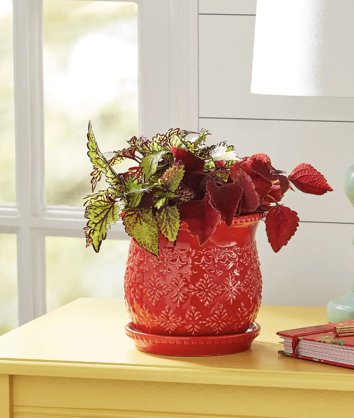 Screenshot 2026-01-29 at 12.50.29 PM.png