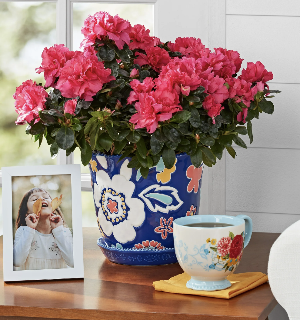 Screenshot 2026-02-03 at 10.13.00 AM.png