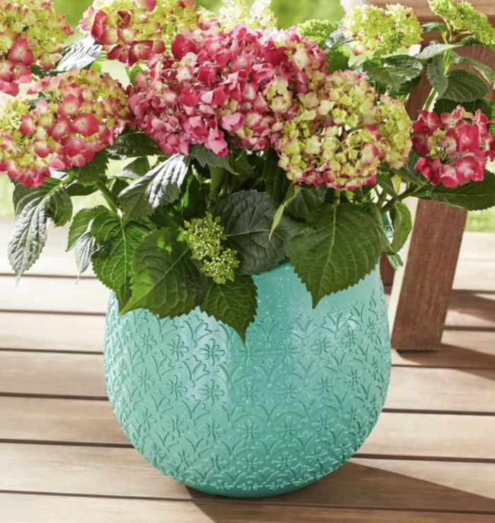 Screenshot 2026-02-03 at 4.45.05 PM.png