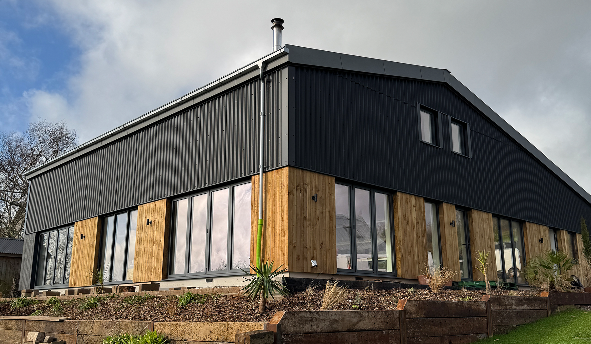 DC website photo.png