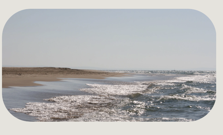 A coastline with sandy beach and ocean waves under clear sky.