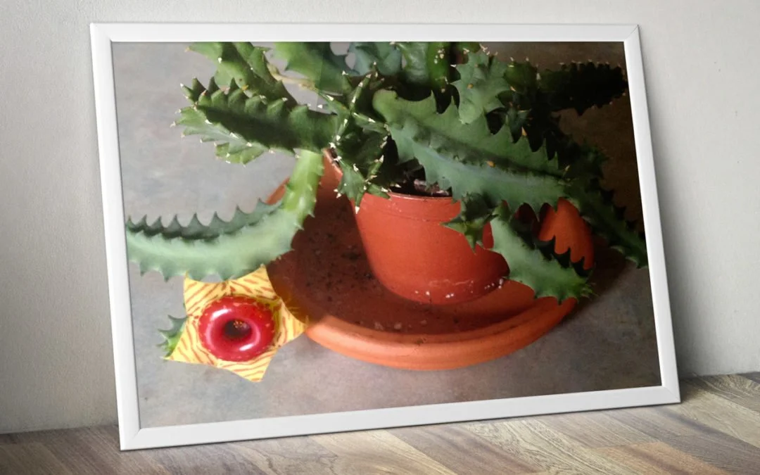 Undone by a Wild Blossom