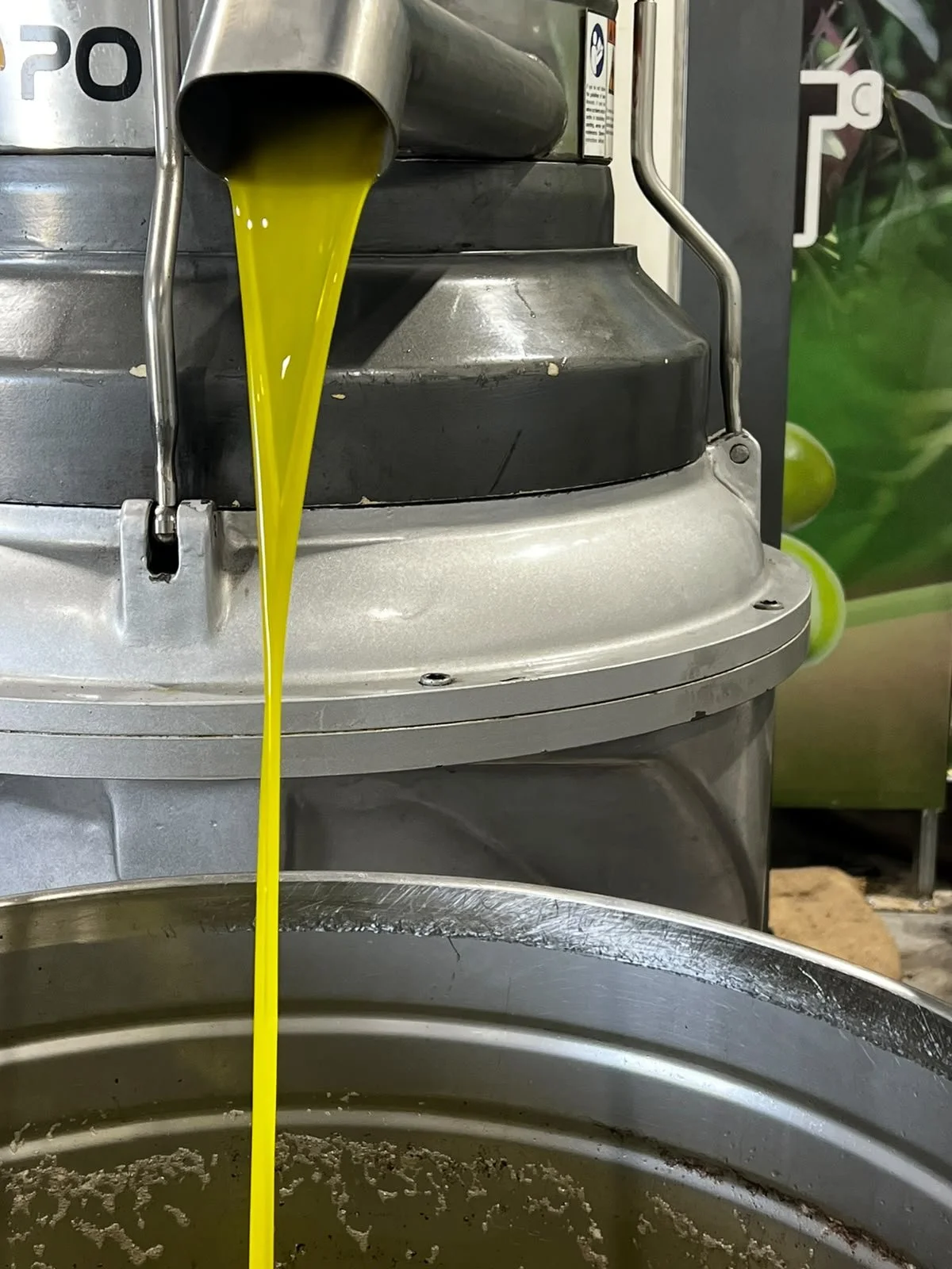 Fresh olive oil flowing from extraction equipment
