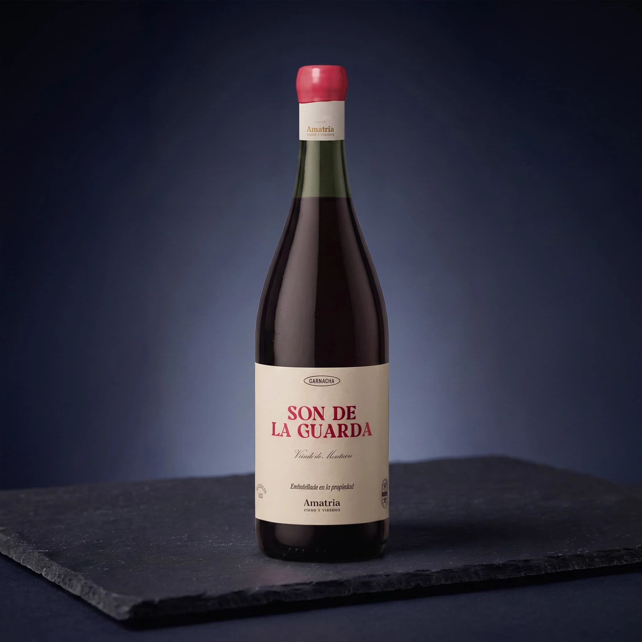 Amatria Son de Laguarda Rosado de Prensa 2024, DO Navarra.jpg