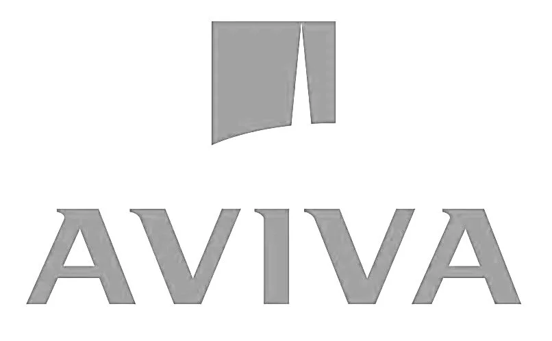 Gray and white logo with a stylized flag and the word 'AVIVA' below it.