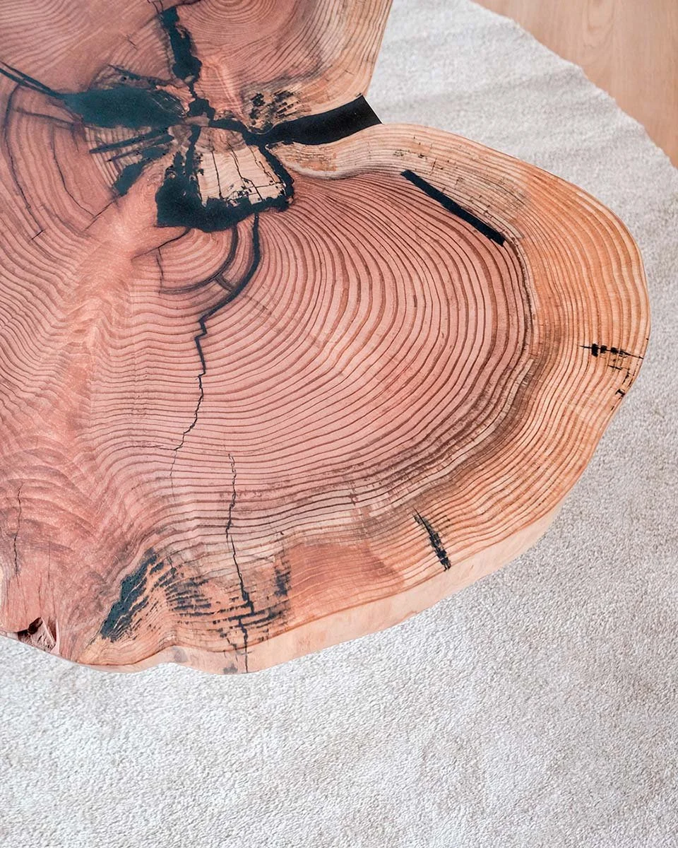 Beeindruckende Baumscheibe als Designtisch – Erhaltung der natürlichen Baumkante.