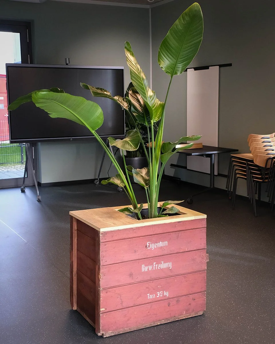 Upcycling-Blumenkübel aus ehemaligen Holzkisten.