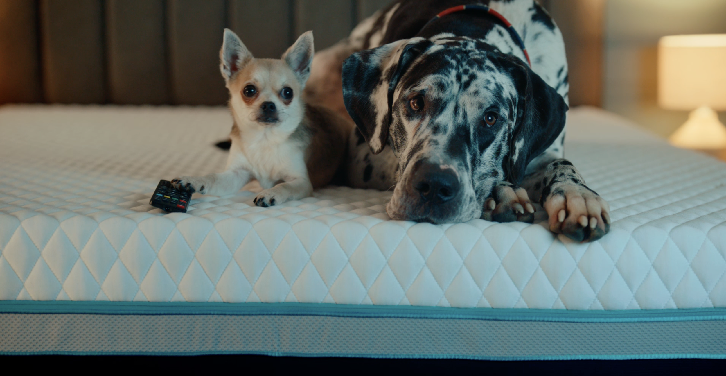 Screenshot 2026-03-04 at 11.39.50.png