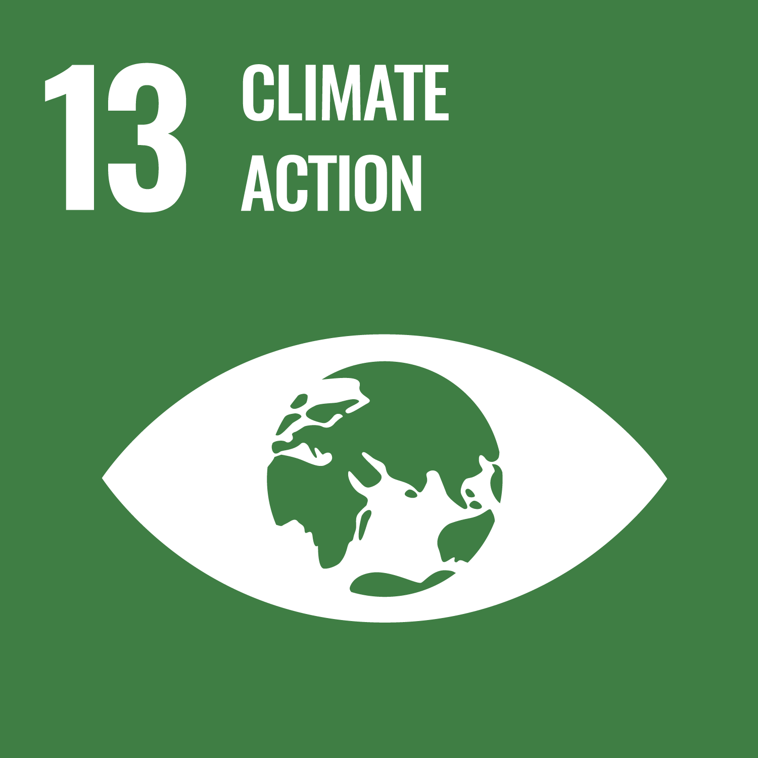 UN Sustainable Development Goal SDG13 'Climate Action'.
