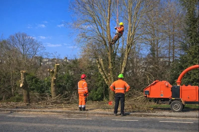 Council workers parks and roadside maintenance