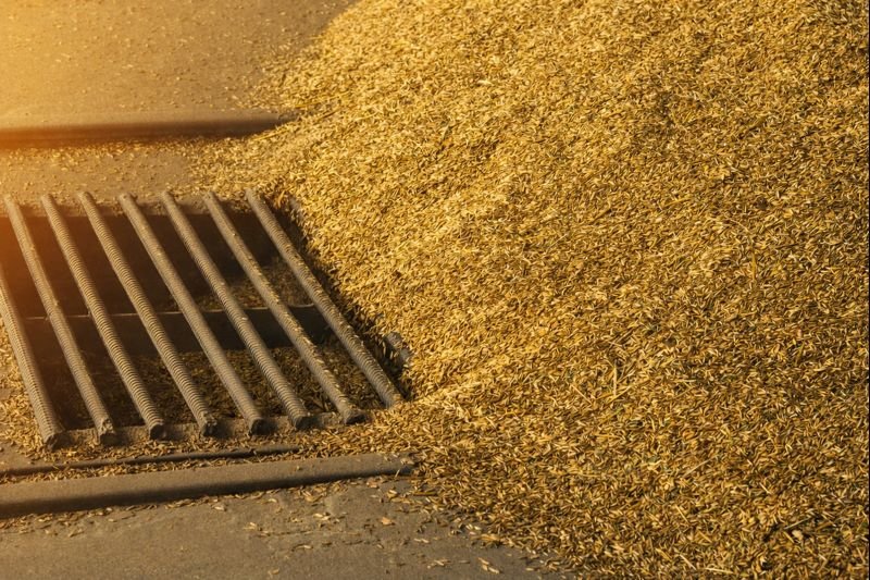 Residual grain waste