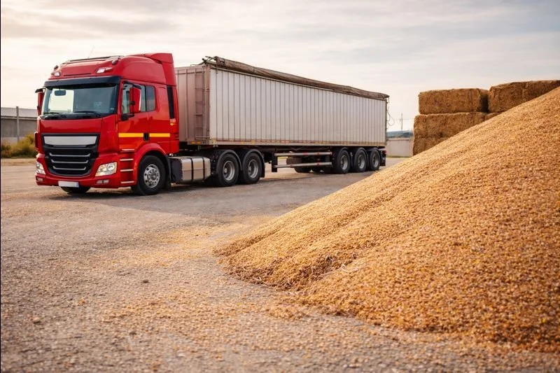 Residual biomass transport