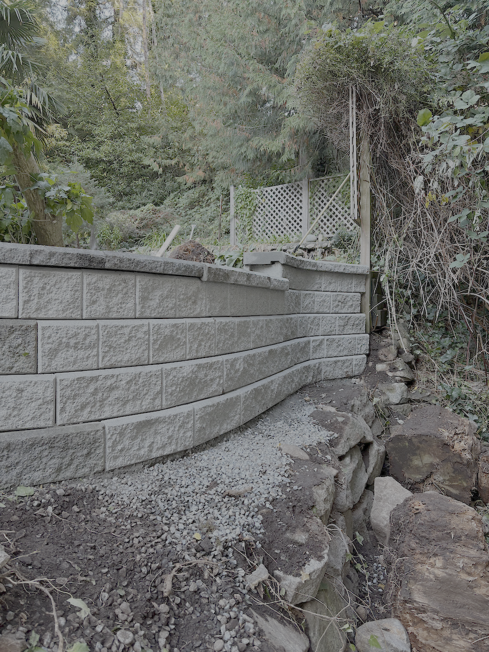 A curved stone retaining wall with a gravel pathway in front, surrounded by lush green plants and trees, with a white lattice fence in the background.