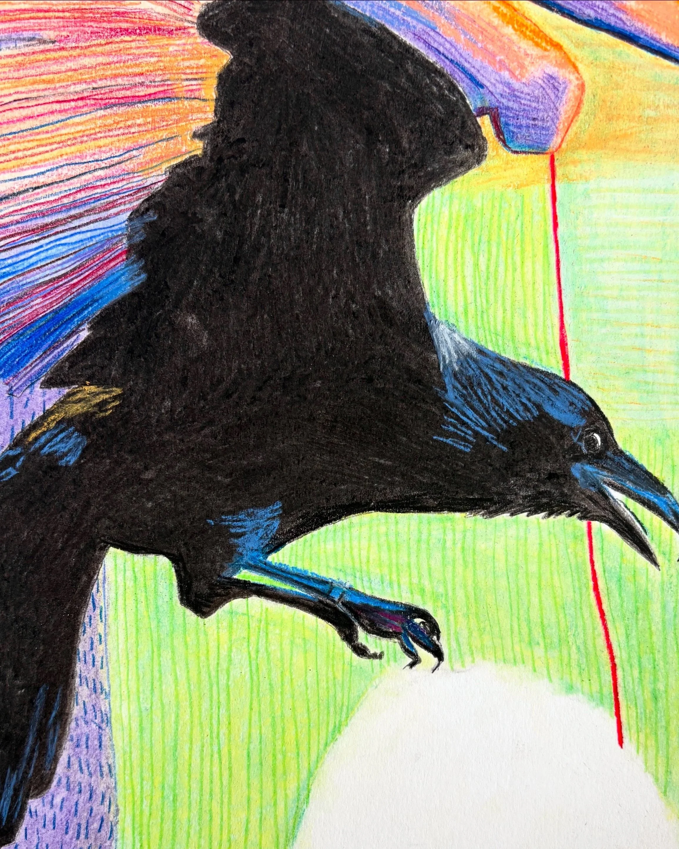 Kraaiaanval, kleurpotlood, houtskool, pastel