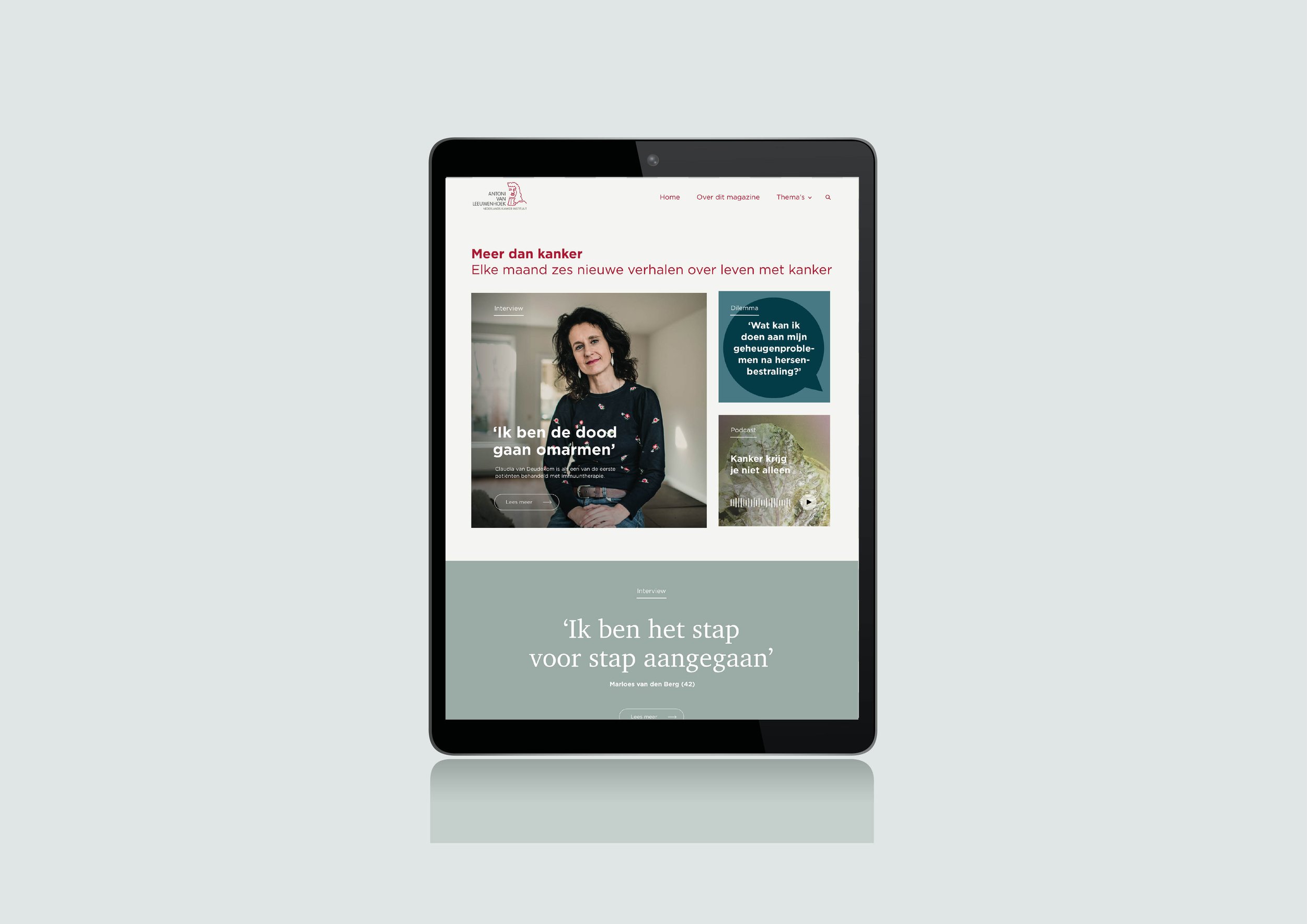 Antoni van Leeuwenhoek - In opdracht