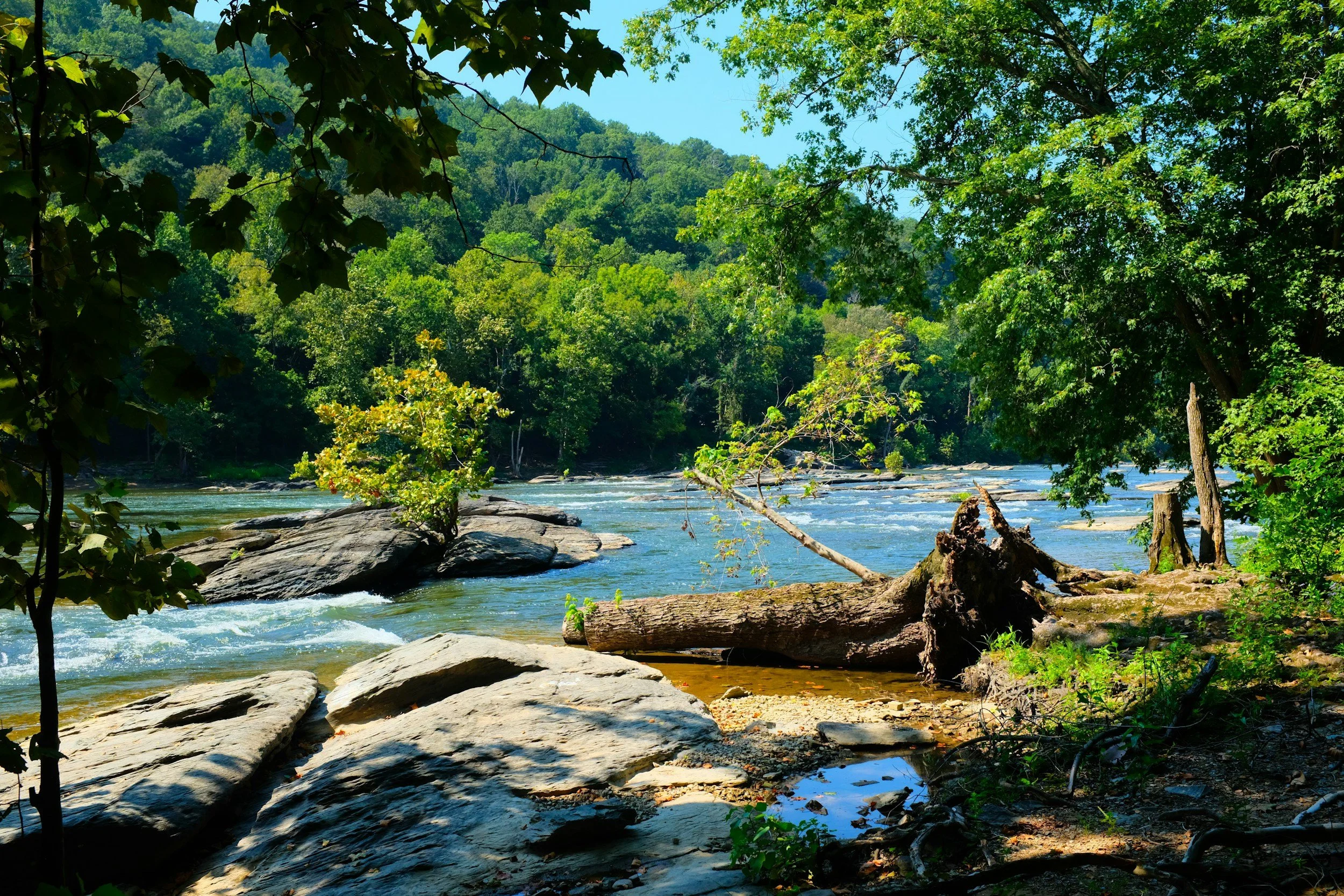 Shenandoah River on a sunny day
