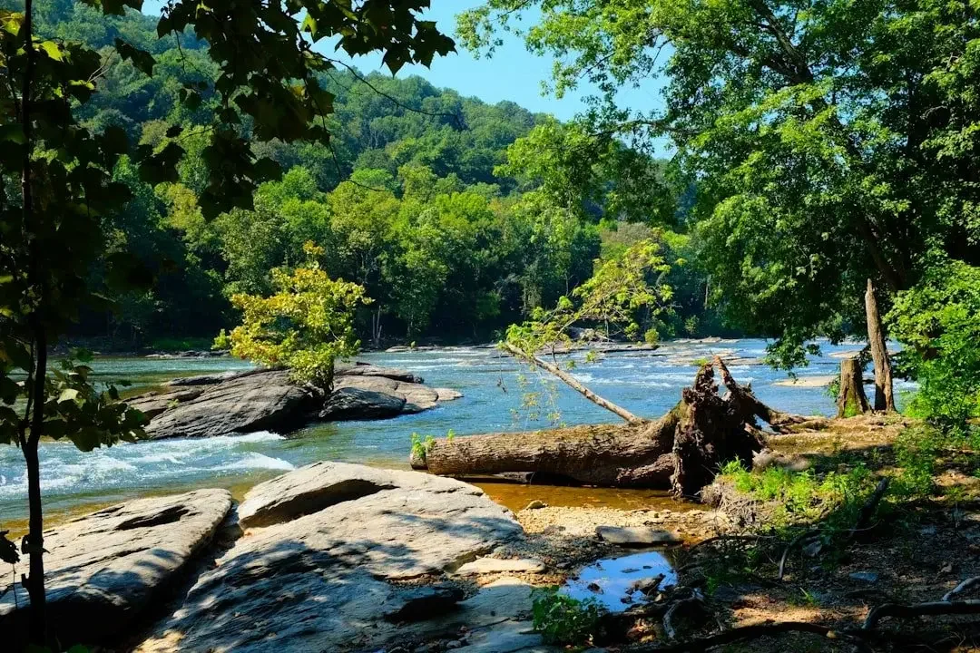 Shenandoah River on a sunny day