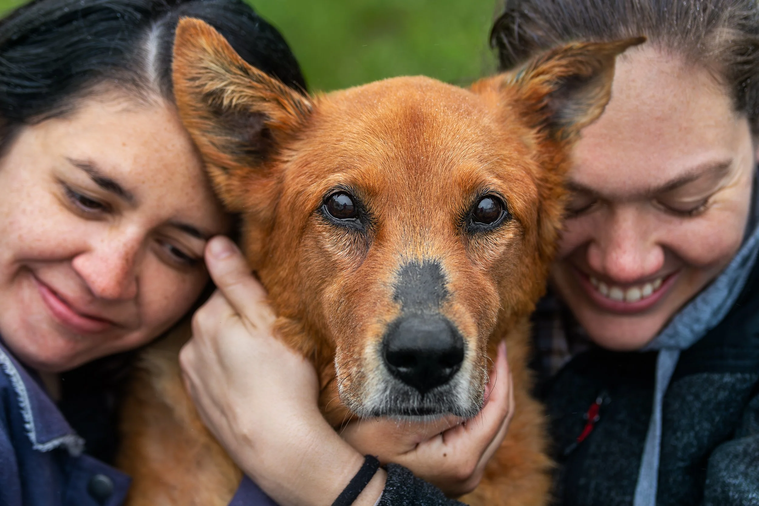 Two women hugging a brown dog with big eyes, outdoors on a grassy background.