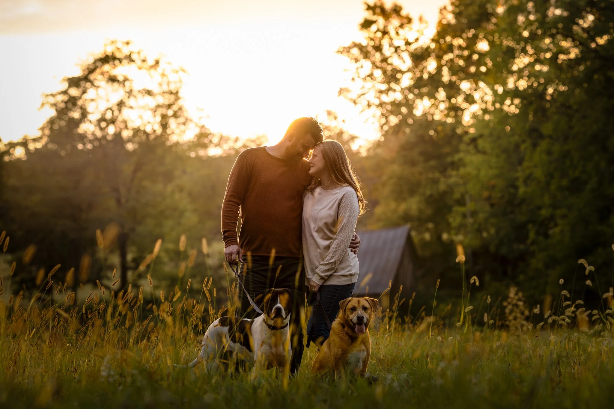 A young couple with two dogs standing in a grassy field at sunset, embracing and gazing at each other.