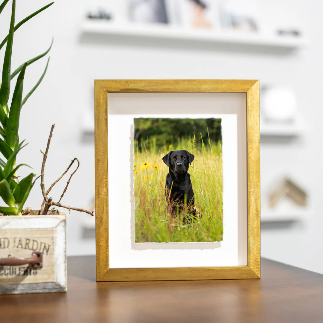 Float Frame - Starting at $340