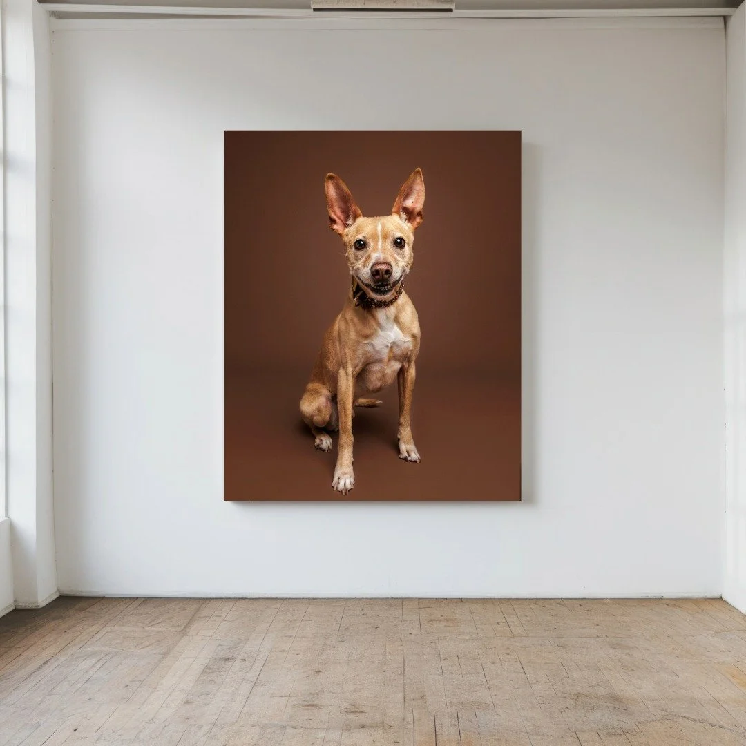 Canvas Print - Starting at $189