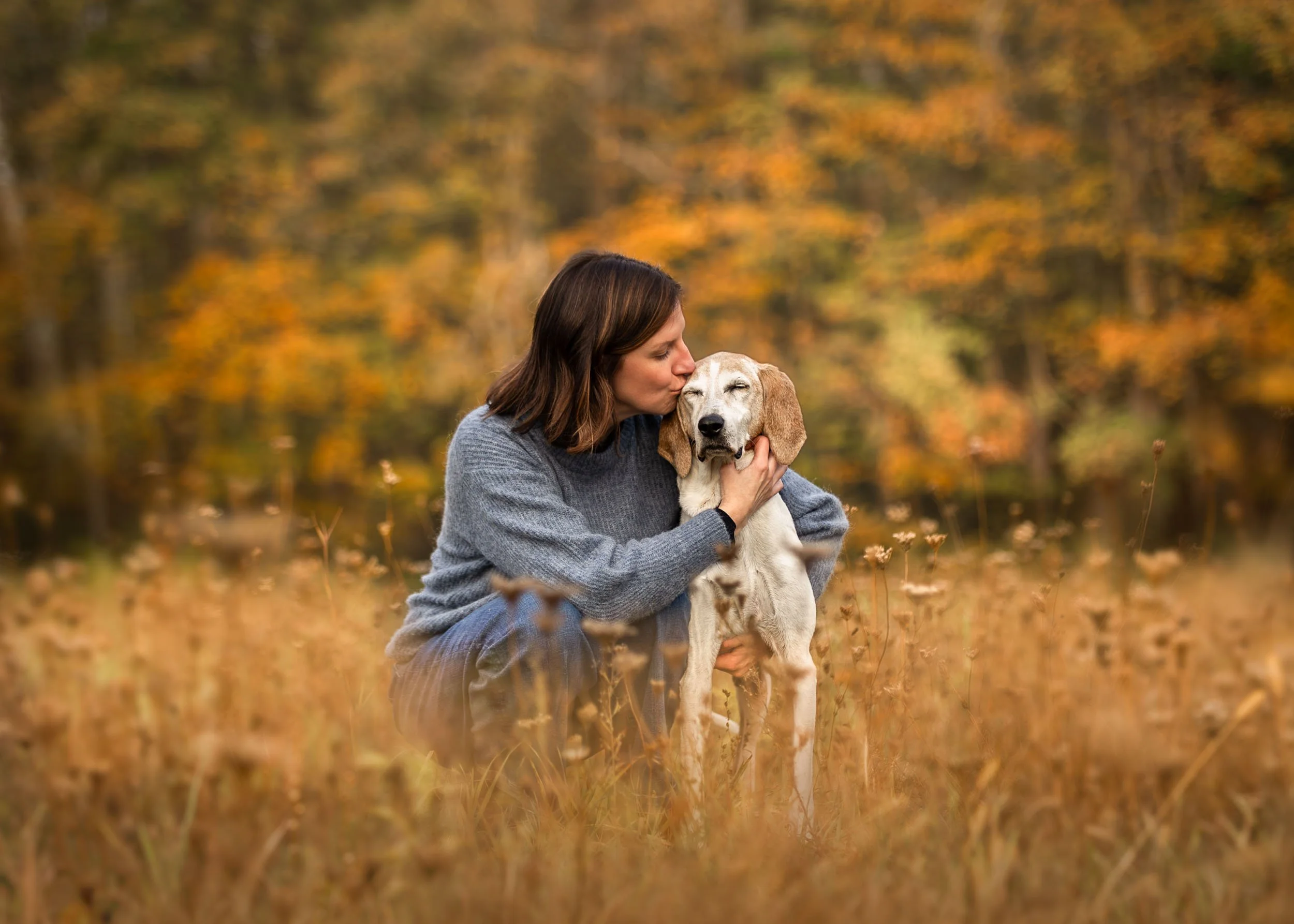 A woman in a blue sweater hugging and kissing a senior hound dog in an autumnal field with orange and yellow trees in the background.