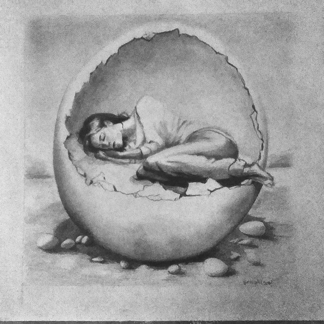 Eggshells #2, 8" x 10 ", Graphite on Paper