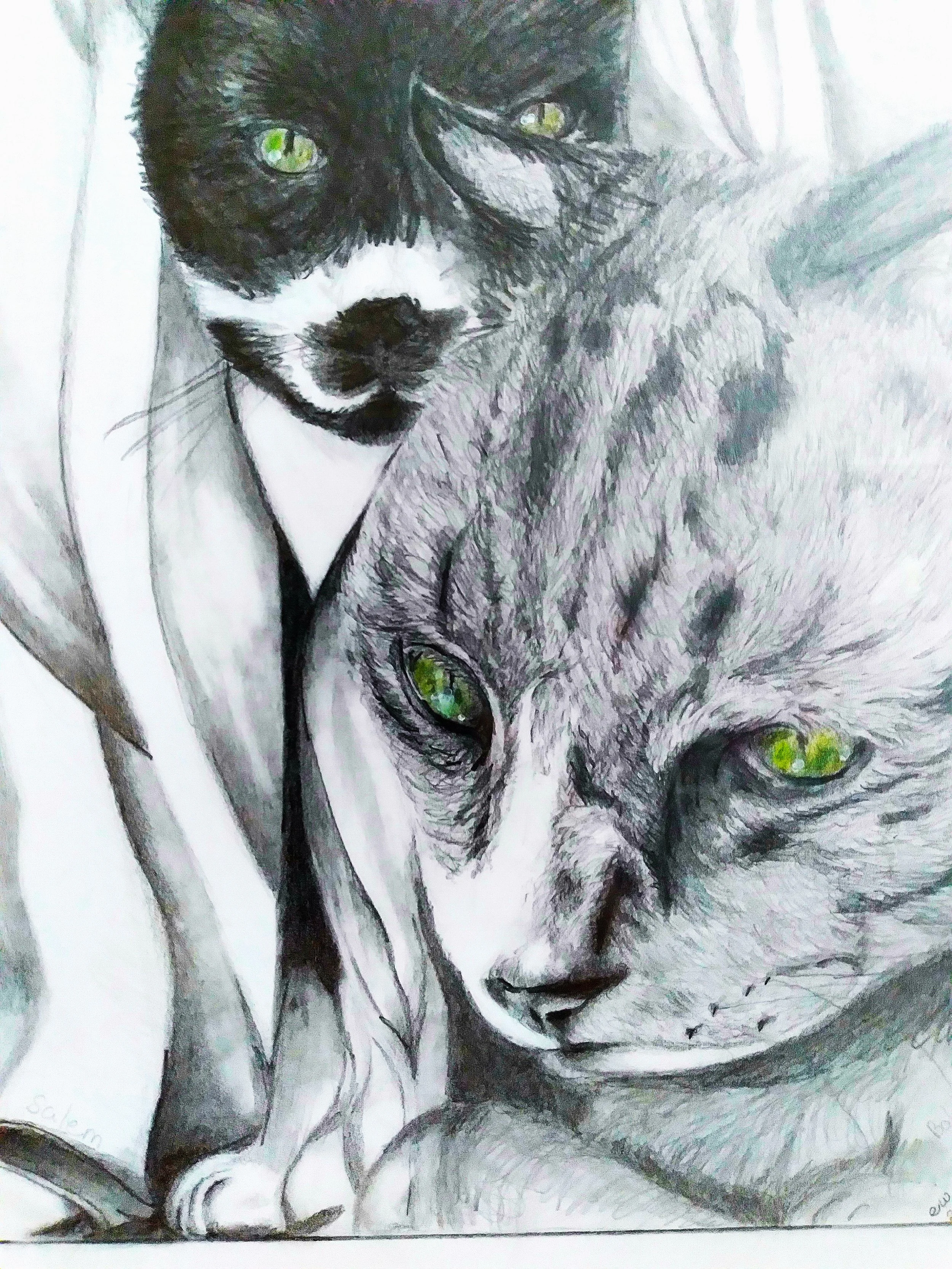 Graphite & Silverpoint